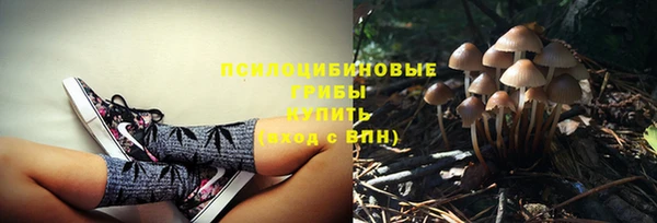 дмт Алзамай