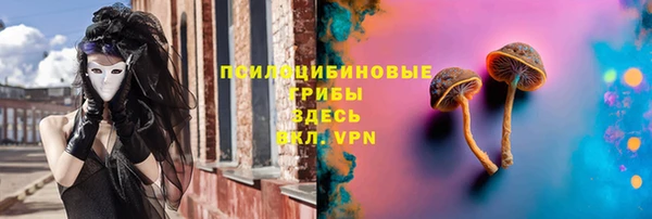 дмт Алзамай